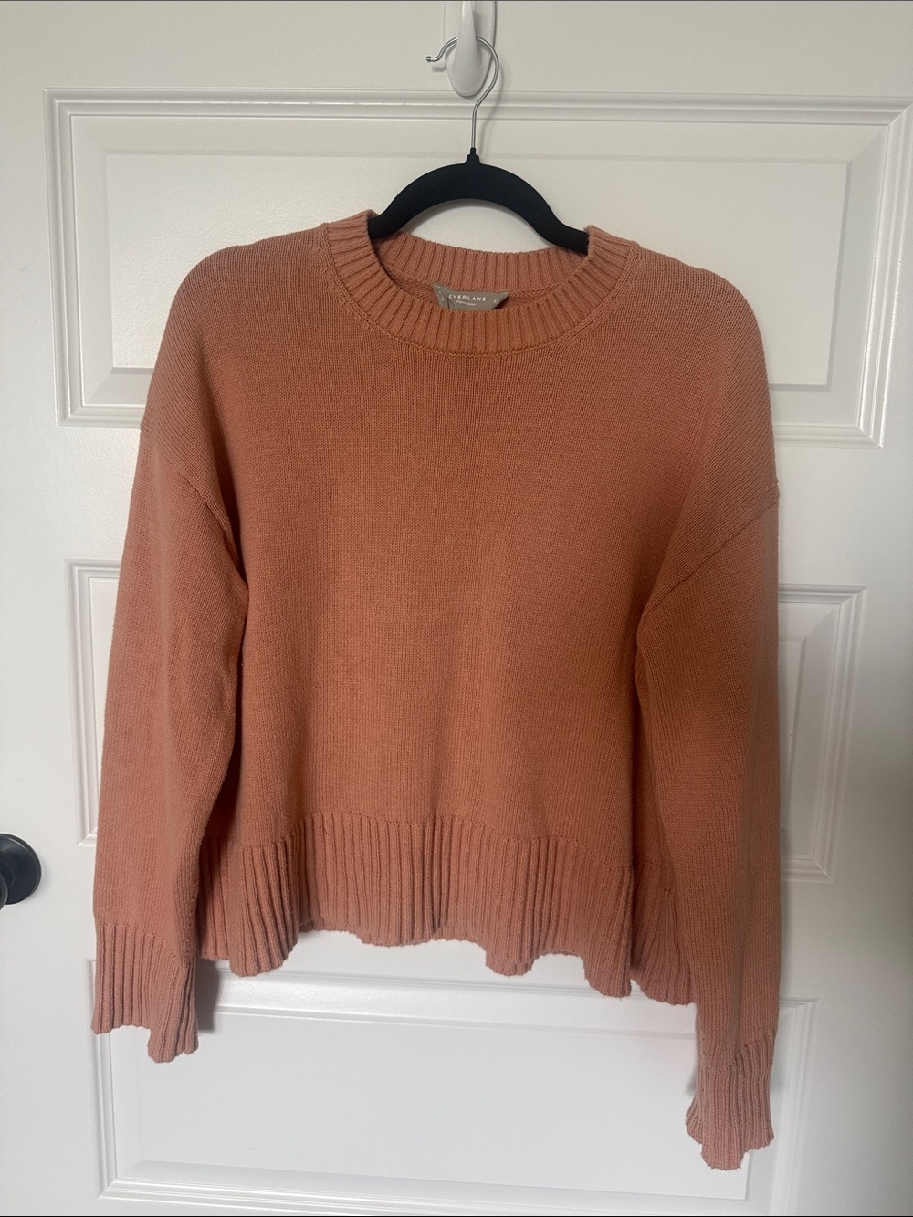 Everlane Boxy Cropped Crewneck Sweater in clay pink